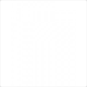 Блендер GASTRORAG B-020B