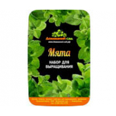 Набор для выращивания Мята Набор для выращивания Мята