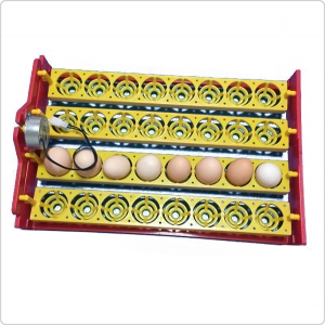 Инкубатор для яиц автоматический WQ-32