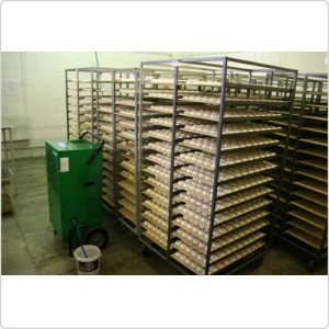 Осушитель воздуха Danvex DEH-1200i