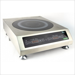 Индукционная плита iPlate Alisa 3500 с термощупом