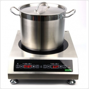 Индукционная плита iPlate Alisa 3500 с термощупом