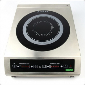 Индукционная плита iPlate Alisa 3500 с термощупом