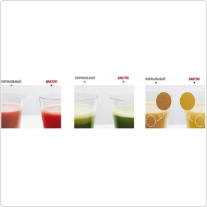 Вакуумный блендер Hanssem Ozen HAF-HB300SV