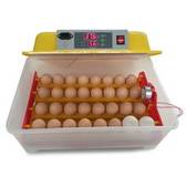 Инкубатор для яиц автоматический WQ-32