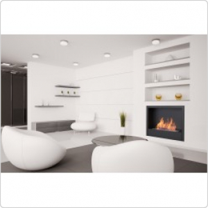 Биокамин модуль Silver Smith Shell