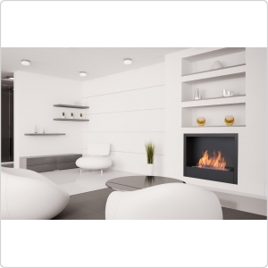 Биокамин модуль Silver Smith Shell 2