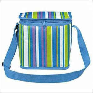Сумка изотермическая Green Glade Р2007 голубой/полоска 7 л